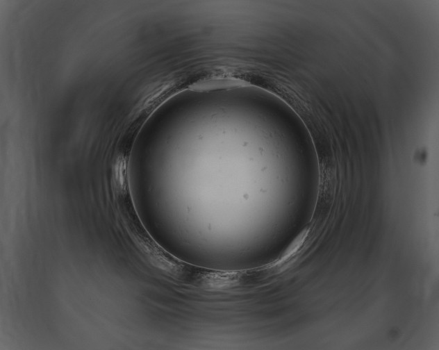 X0000091660094200708231316