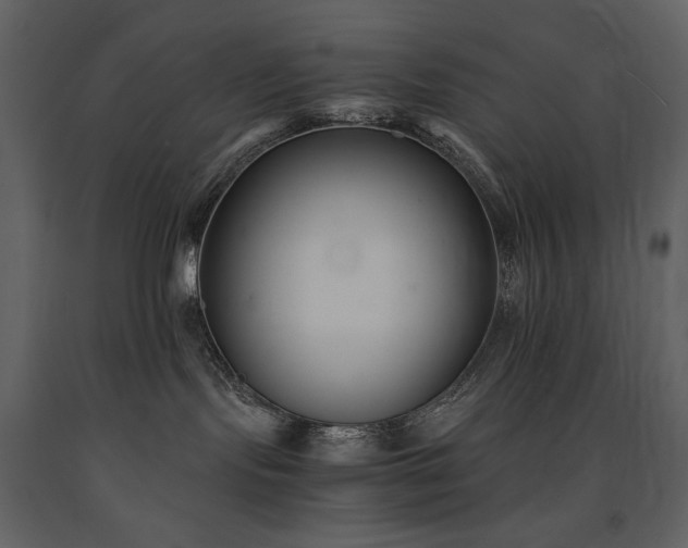 X0000091660095200708231316