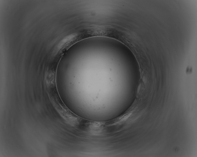 X0000091660096200708231316