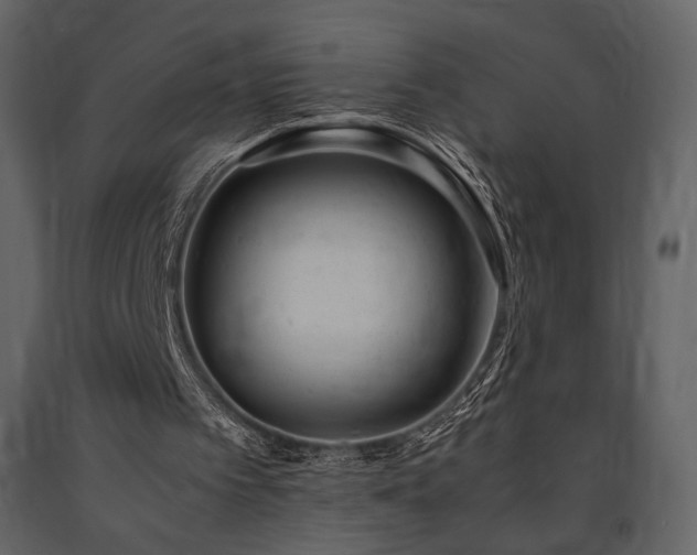 X0000091660097200708231315