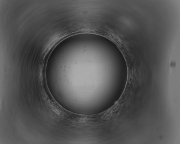 X0000091660098200708231315