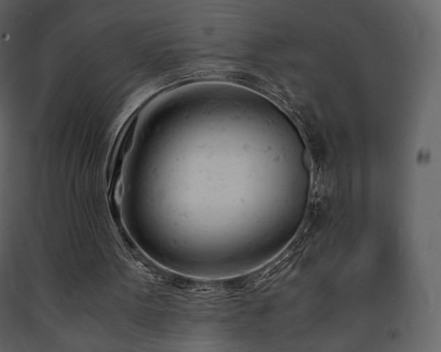 X0000091660099200708231315