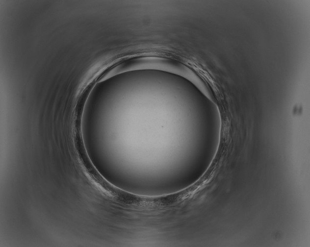 X0000091660101200708231315