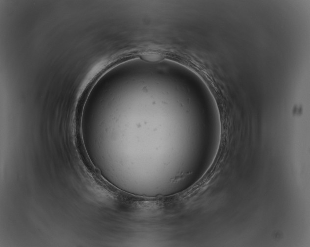 X0000091660102200708231315