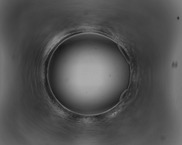 X0000091660103200708231315