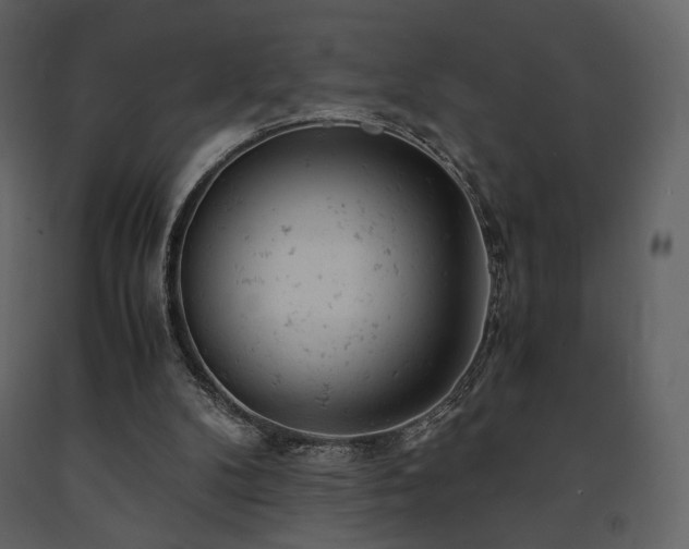 X0000091660104200708231315