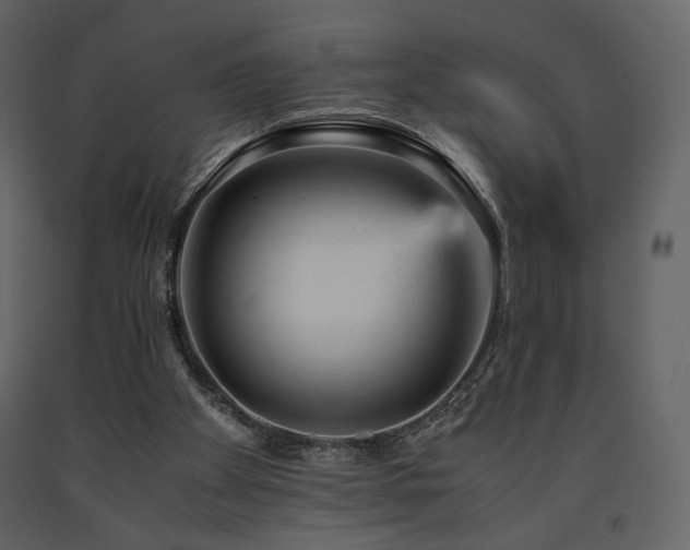 X0000091660105200708231315
