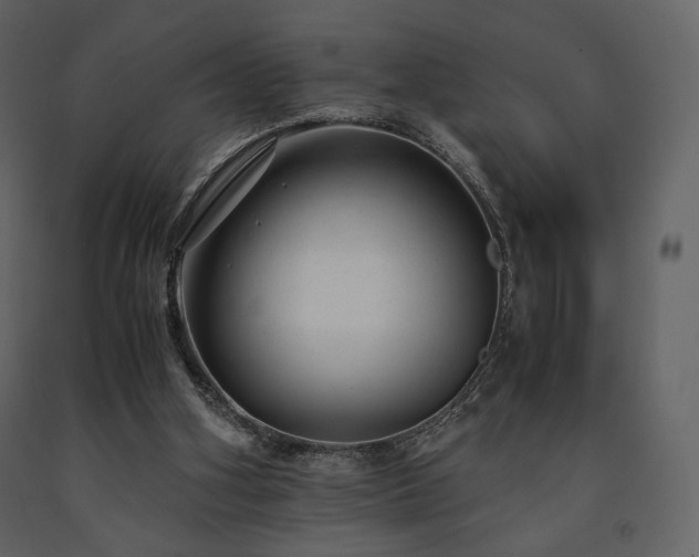 X0000091660106200708231315