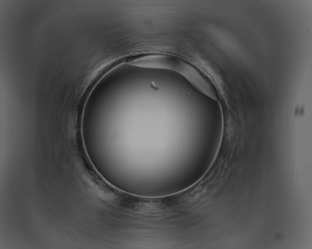 X0000091660107200708231315