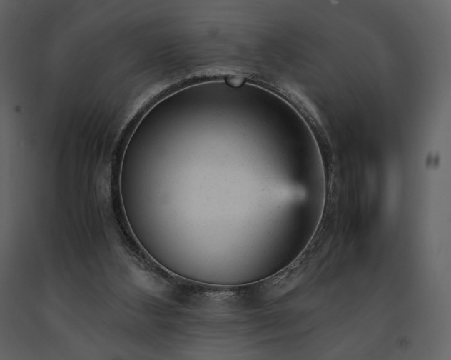 X0000091660108200708231315