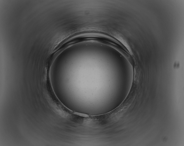X0000091660109200708231315