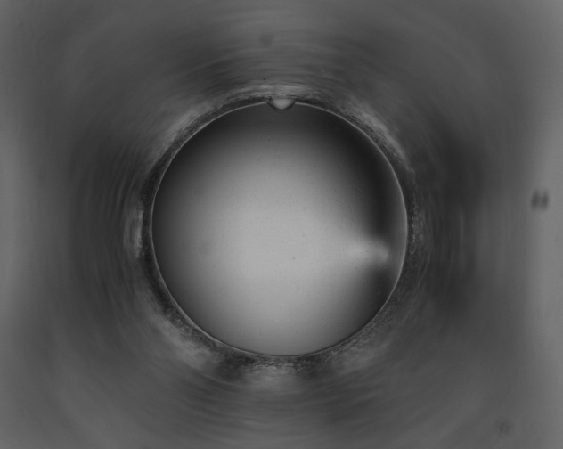 X0000091660110200708231315