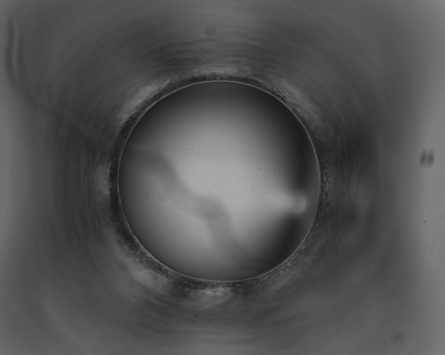 X0000091660112200708231315