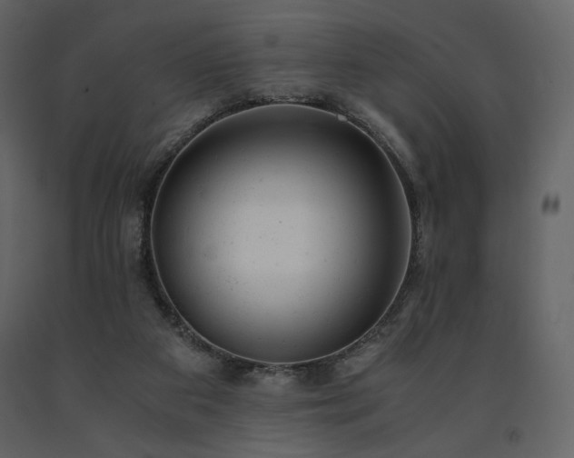 X0000091660113200708231315