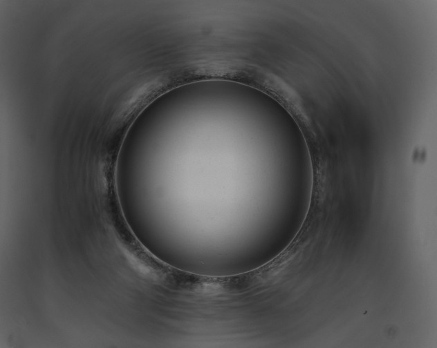 X0000091660114200708231315