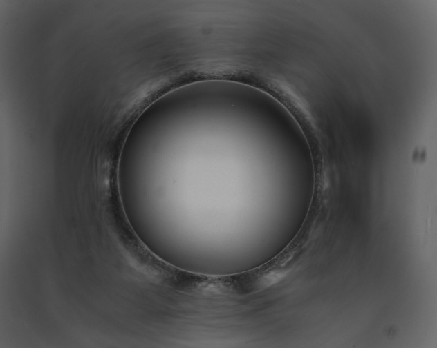 X0000091660115200708231315