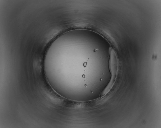 X0000091660116200708231315