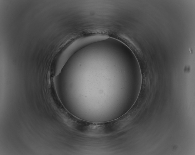 X0000091660117200708231315