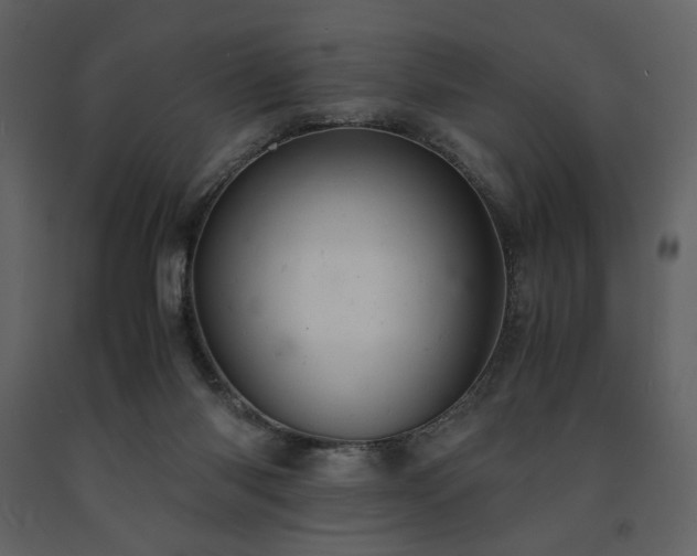X0000091660118200708231315