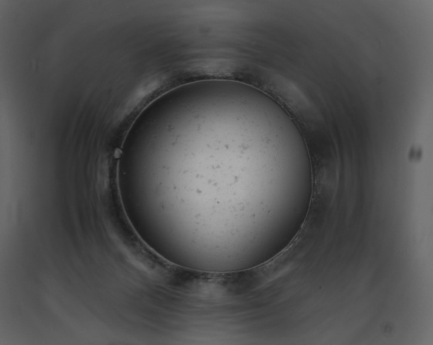 X0000091660120200708231315
