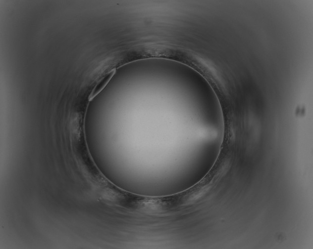X0000091660121200708231315