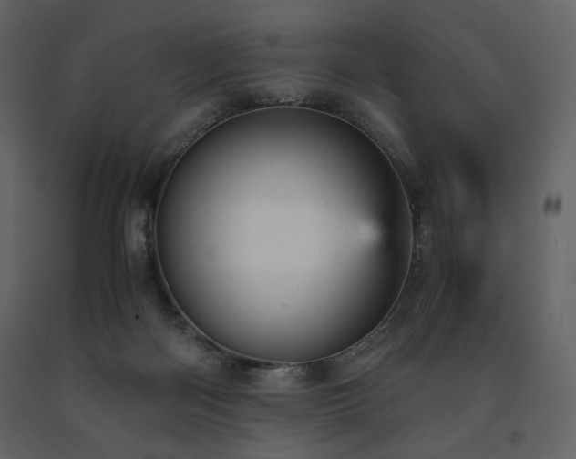 X0000091660122200708231315
