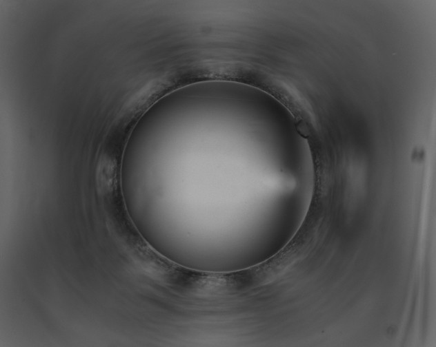 X0000091660123200708231315
