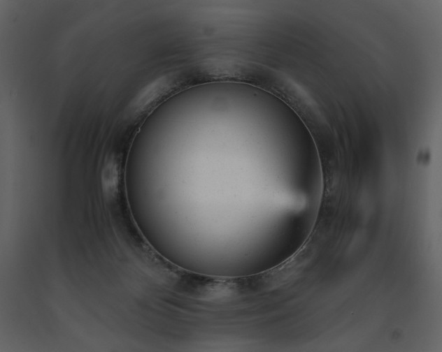 X0000091660124200708231315