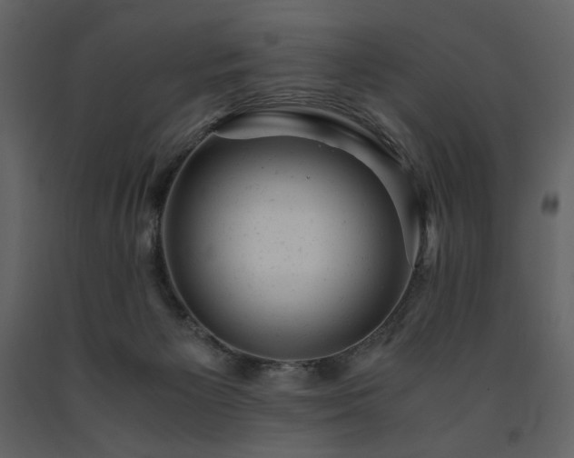 X0000091660125200708231315