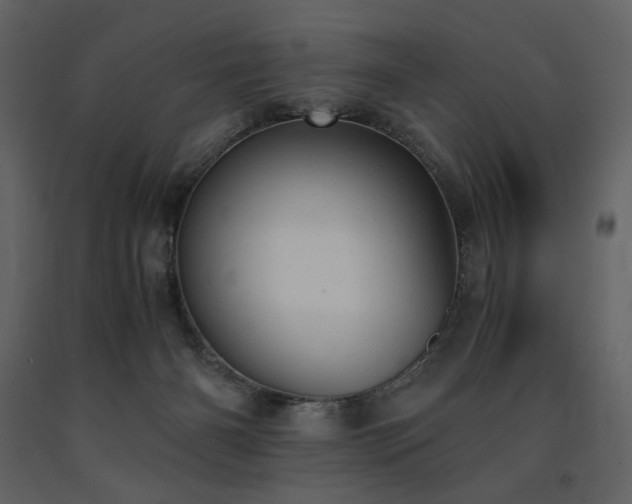 X0000091660126200708231315