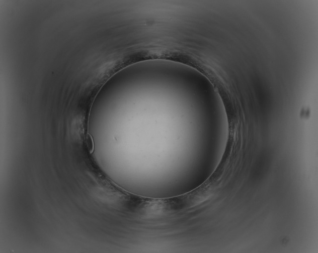 X0000091660127200708231315