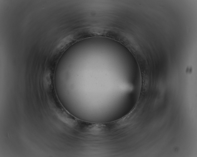 X0000091660128200708231315