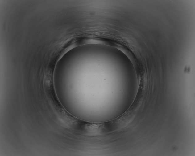 X0000091660129200708231315