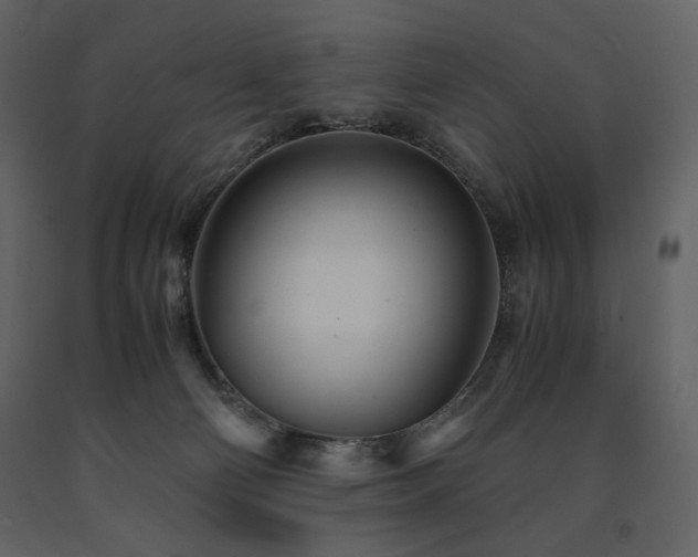 X0000091660130200708231315