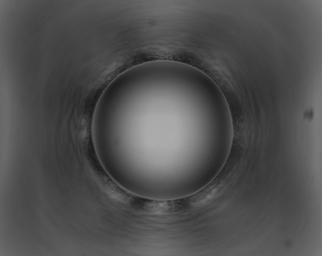 X0000091660131200708231315