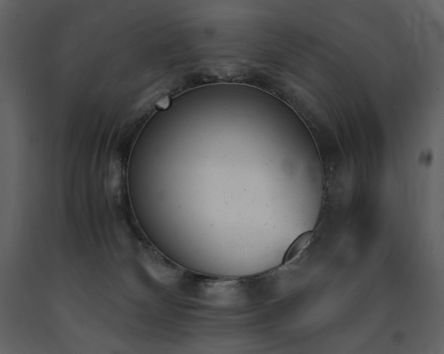 X0000091660132200708231315