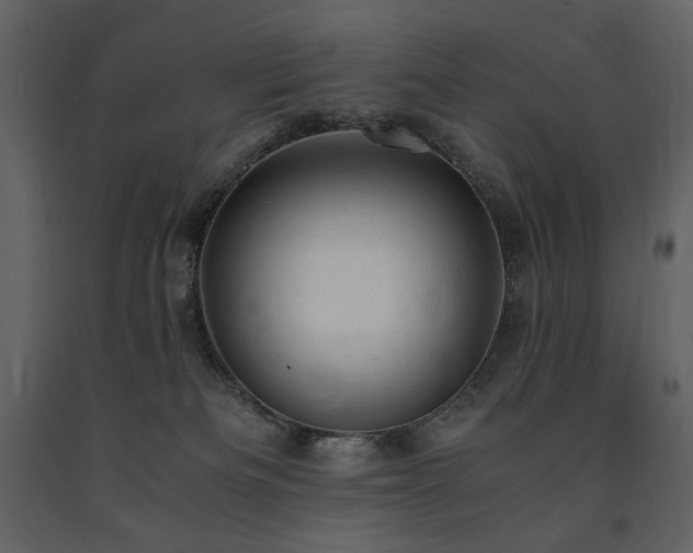 X0000091660133200708231315