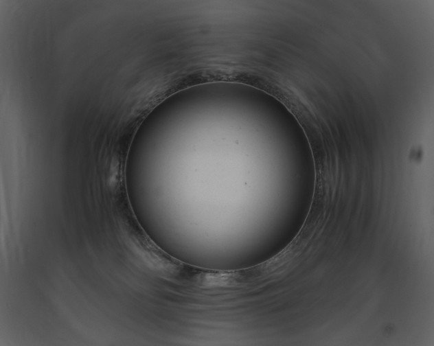 X0000091660134200708231315