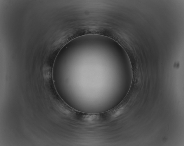 X0000091660135200708231315