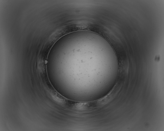X0000091660136200708231315