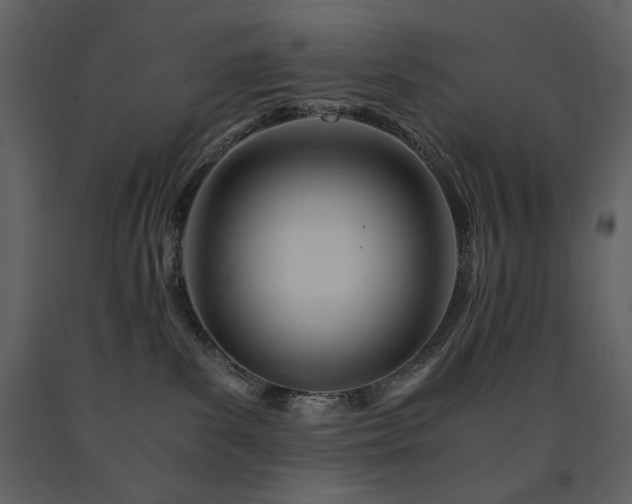 X0000091660139200708231315