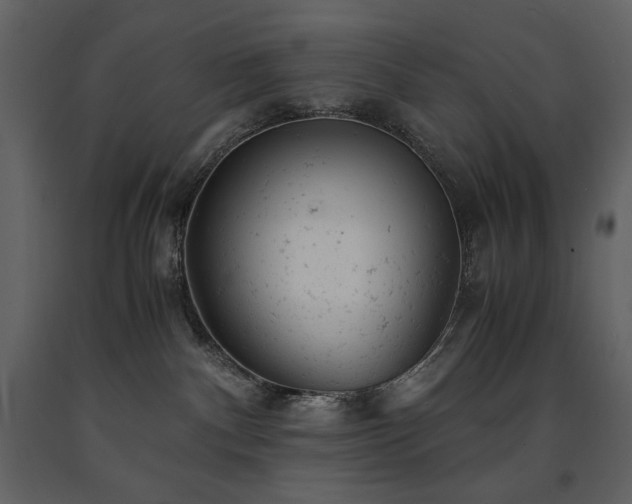 X0000091660140200708231315
