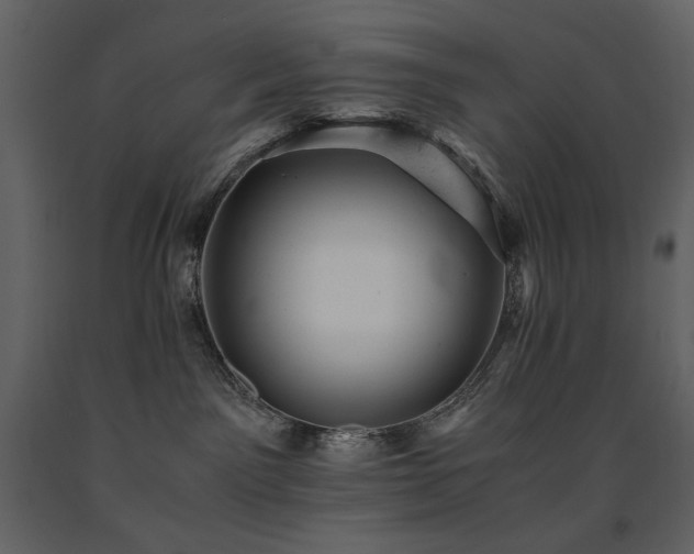 X0000091660141200708231315
