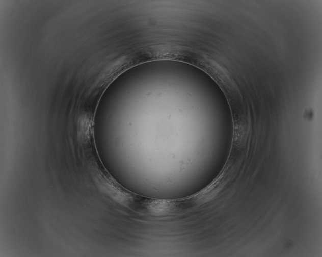 X0000091660142200708231315
