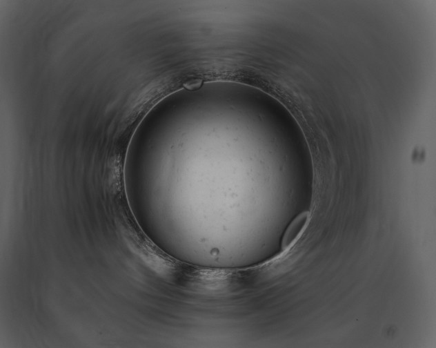 X0000091660144200708231315