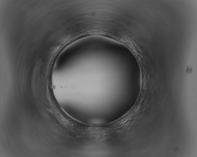 X0000091660145200708231314