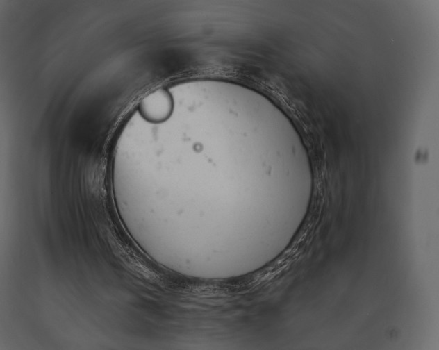 X0000091660146200708231314