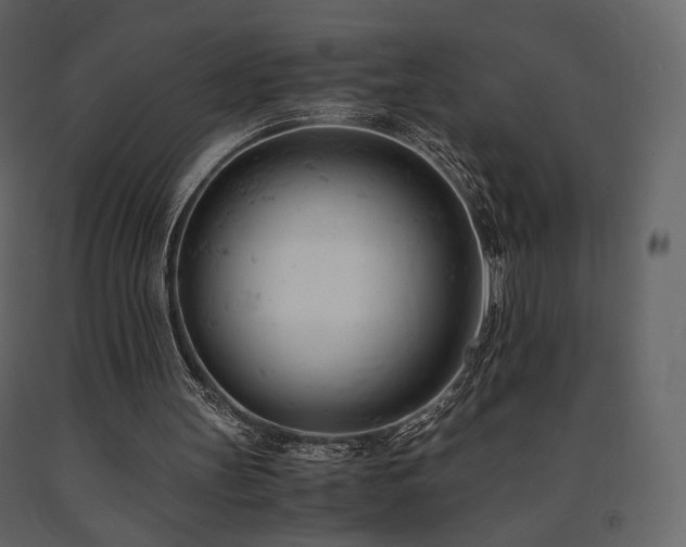 X0000091660147200708231314