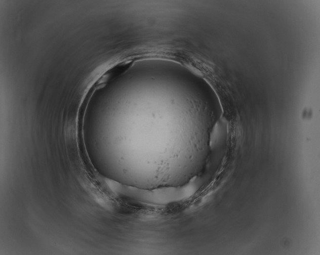 X0000091660148200708231314