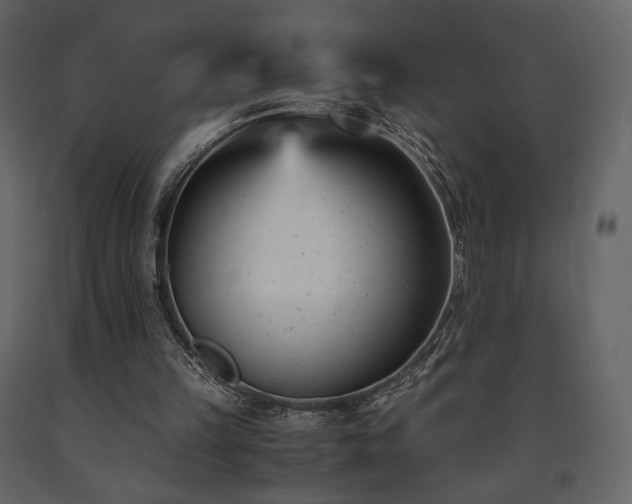 X0000091660149200708231314